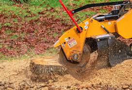 Best Aeration Services  in Cumberland Head, NY